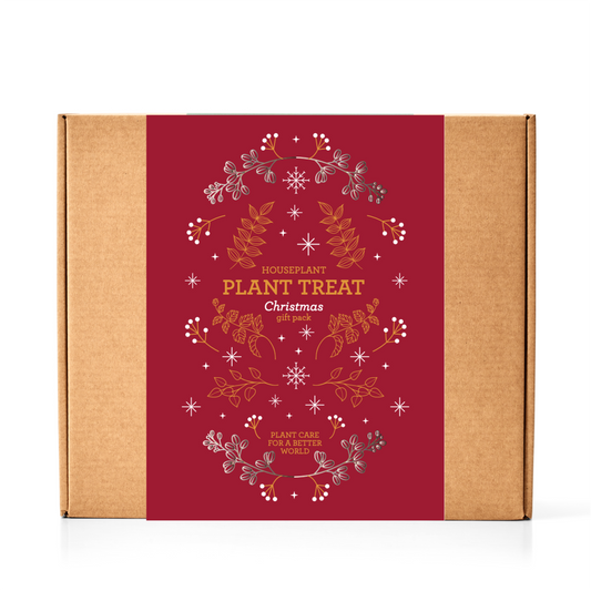 PLANT NURTURE KIT | Christmas Edition (Case of 4 units)